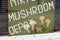 Mushroom Depot sign, Lake Cowichan