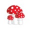 mushroom family. Inedible mushrooms fly agaric. Amanita muscaria