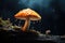 Mushroom. Fantasy Glowing Mushrooms in mystery dark forest close-up. Beautiful macro shot of magic mushroom, fungus