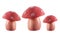 Mushroom Figurines