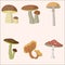 Mushroom forest set