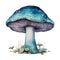 Mushroom Fungi Toadstools Nature Botanical Illustration Clipart