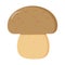 Mushroom, fungus flat vegetable on white background for design. Vector isolated sign set. Natural product.