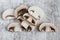 Mushroom fungus on the white table, spaghetti and species. Ingredients for spaghetti