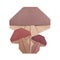 Mushroom group origami isolated