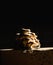 Mushroom growing illuminated from right inside