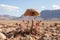 a mushroom growing out of rocks