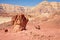 The Mushroom and the half sandstones in Israel