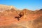 The Mushroom and the Half sandstones in Timna Park