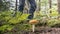 Mushroom Hunter with Amanita muscaria