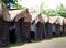 Mushroom hut in agriculture farm in rural to keeping humidity