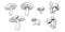 Mushroom icon Vector illustration doodle logo