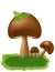 Mushroom illustration