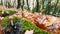 Mushroom leaves autumn, oak tree, forest