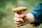 Mushroom Leccinum In Hand Of Mushroom Picker In Forest