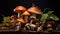 Mushroom Magic in Natural Colors
