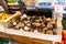 Mushroom on the market in Italy Boletus . Autumn Cep Mushrooms