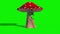 Mushroom Monster Hit it Side Green Screen 3D Rendering Animation