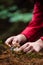 Mushroom picking - detail of hand with knife