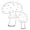 Mushroom poison, amanita, toadstool. Hand drawn vintage illustration. Black and white doodle line art, coloring outline