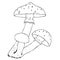 Mushroom poison, amanita, toadstool. Hand drawn vintage illustration. Black and white doodle line art, coloring outline, design