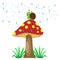 Mushroom in the rain with the Snail