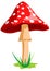 Mushroom red