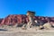 The Mushroom rock formation in the Ischigualasto National Park,