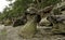 Mushroom Rock in Montague harbour, Galiano Island.Canada