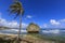 Mushroom rock and windswept palm tree at Bathsheba East Coast Barbados