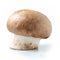 Mushroom. Royal champignon on white