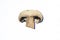 Mushroom slice