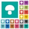 Mushroom square flat multi colored icons