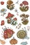 Mushroom stickers insects  forest hand drawn set of separate elements cute cartoon coloring doodle