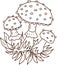 Mushroom stickers insects snail forest hand drawn set of separate elements cute cartoon coloring