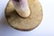 Mushroom Suillus bovinus Jersey cow bovine bolete on a white background. Bottom part, pore surface close-up. Horizontal