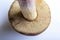 Mushroom Suillus bovinus Jersey cow bovine bolete on a white background. Bottom part, pore surface close-up. Horizontal