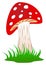 Mushroom, toadstool or fly agaric standing in grass as cartoon and vector on a white isolated background