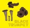 Mushroom Type Black Trumpet Vector Illustration