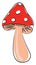 Mushroom, vector or color illustration