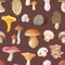 Mushroom vector natural fungus and mushrooming organic food illustration set of edible champignon isolated on background