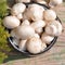 Mushroom on vintage table