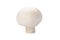 Mushroom on white