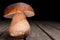 Mushroom on a wooden table