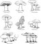 Mushrooms