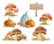 Mushrooms autumn set with grass in watercolor painting style. Mushrooms isolated on a white background