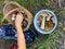 mushrooms in a basket (boletus edulis)