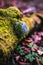 Mushrooms in beech forest