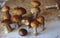 Mushrooms boletus , krasnoholovets , volnushki. in the basket , hardwood table