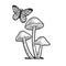 Mushrooms and butterfly line art sketch vector